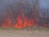 Подготовку к пожароопасному сезону обсудили на областном уровне